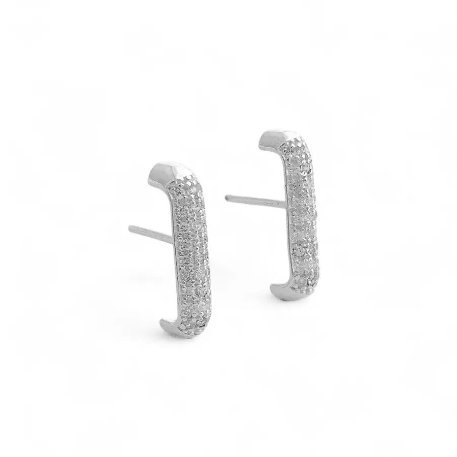 Sparkling Ear Hook Earring